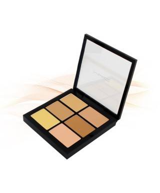 Mac Pro Conceal And Correct Palette 6g