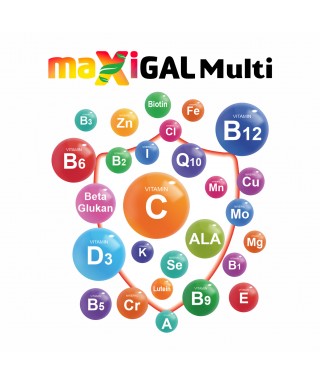 Maxigal Multivitamin Multimineral 30 Kapsül