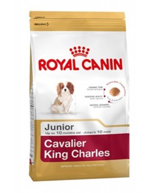 Royal Canin Bhn Cavalier Jun 1,5K