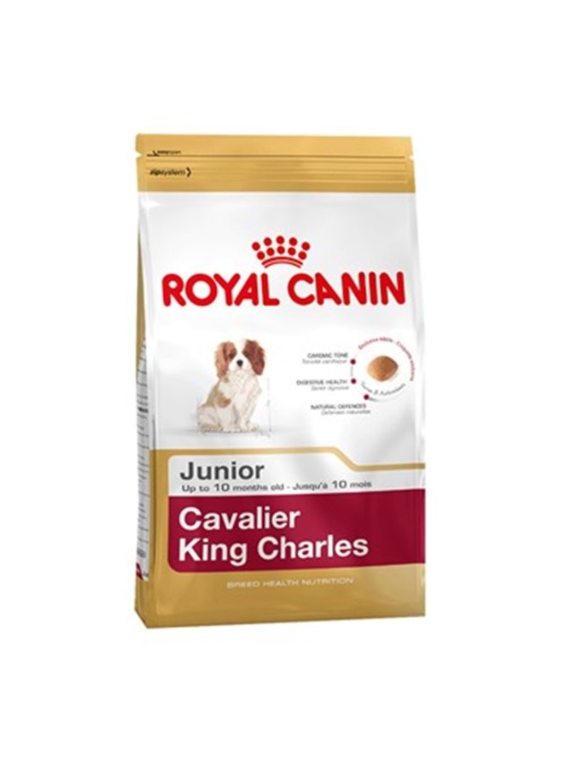 Royal Canin Bhn Cavalier Jun 1,5K