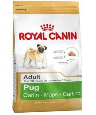 Royal Canin Bhn Pug Adult 1,5K