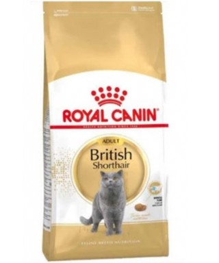 Royal Canin Fbn Brit Shorthair 2K