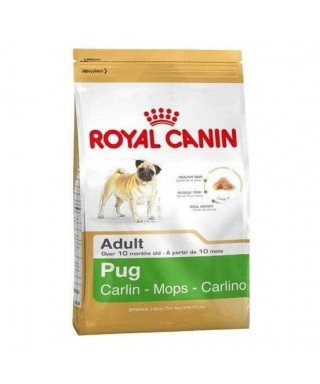 Royal Canin Bhn Pug Adult 1,5K
