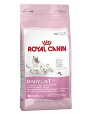 Royal Canin Fhn Babycat 2K