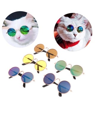 Kedi Köpek Gözlük