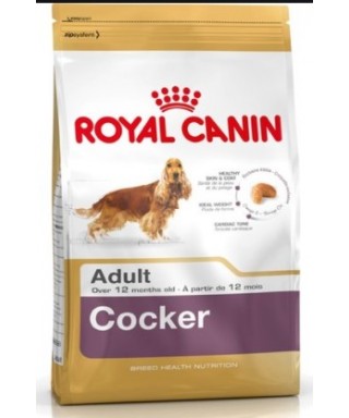Royal Canin Bhn Cocker Jun 3K