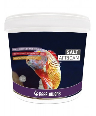 Reeflowers African Salt...