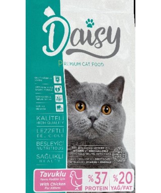 Daisy Premium Kitten Tavuk...