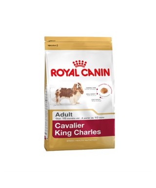 Royal Canin Bhn Cavalier Ad 3K