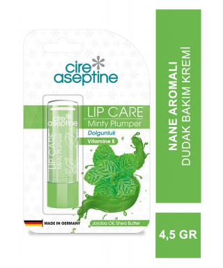 Cire Aseptine Nane Aromalı Dudak Bakım Kremi 4,5 gr