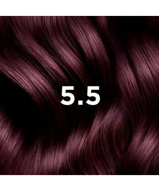 Phyto Color Bitkisel Saç Boyası - 5.5 - Açık Kestane Akaju