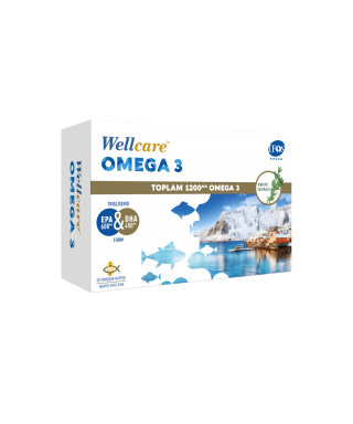 Wellcare Omega 3 1200mg Balık Yağı 30 Kapsül