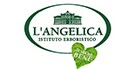 Langelica